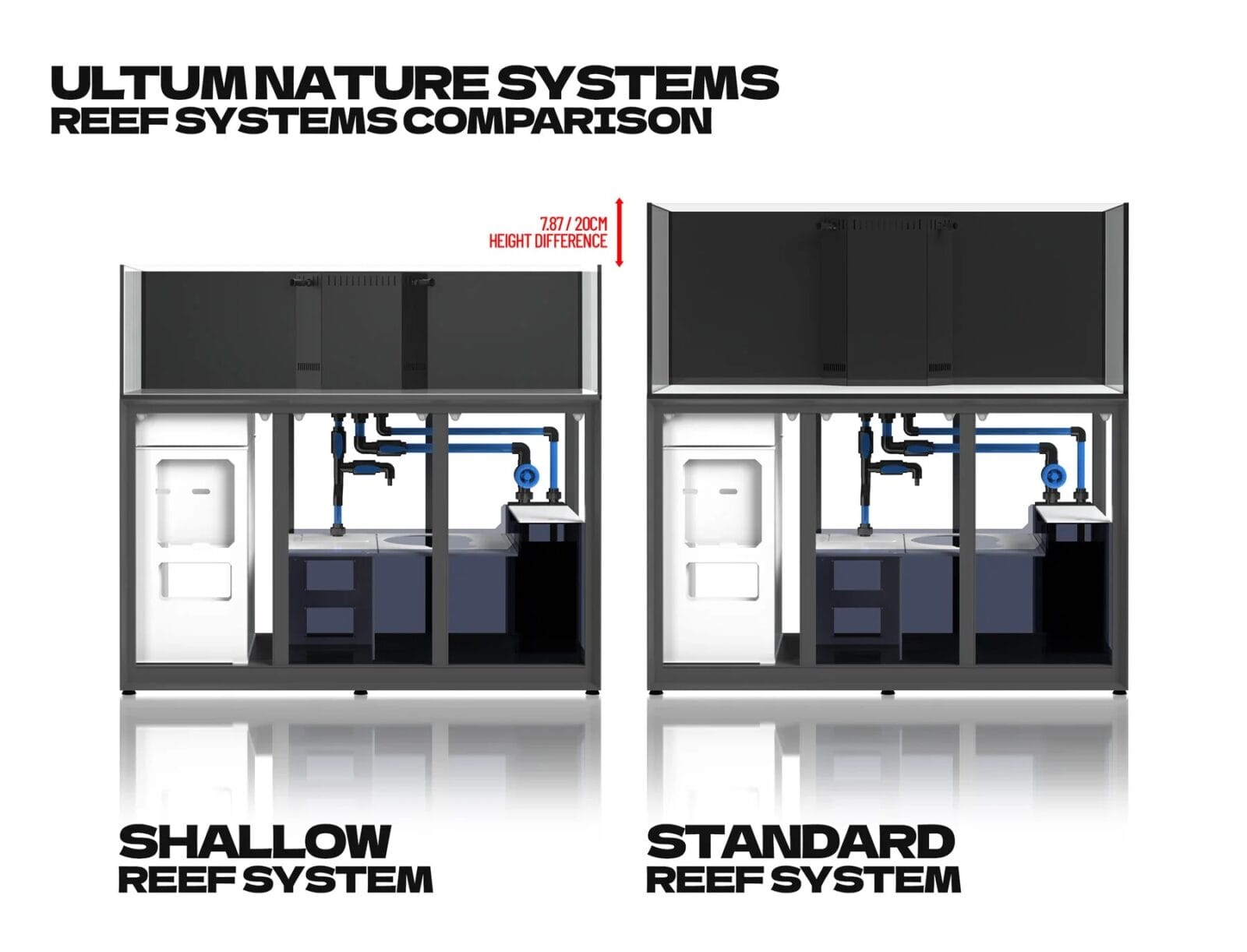 מערכת ריף מקצועית שלמה בצבע אפור UNS R60 5 מערכת ריף מקצועית שלמה בצבע אפור UNS R60 – תמונה 5